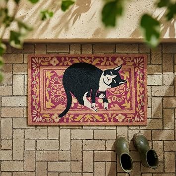 BBSET Black Cat Door Mat Cute Funny Welcome Front Door Mat Indoor Entrance, Rustic Artificial Coir Doormat Rugs for Cats Lovers Owners Porch Entry Patio Kitchen Decor 30x17in Black cat