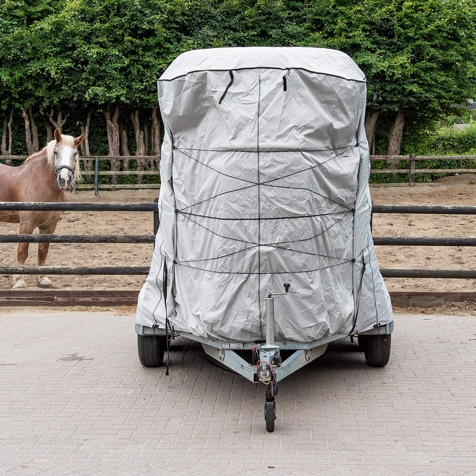 deiwo Copertura per rimorchio per cavallo, 370 x 250 x 210 cm, in tessuto Oxford sinistro + destro