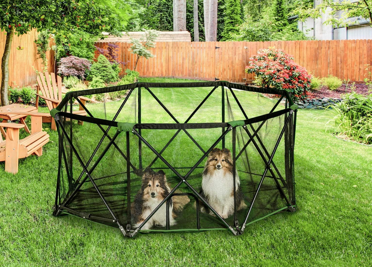 Carlson 8-Panel Foldable and Portable Steel Pet Exercise and Play Pen, with Carrying Case, Green