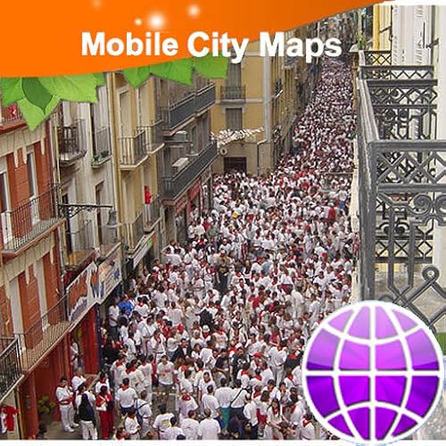 Pamplona-Irunja Street Map - //medicalbooks.filipinodoctors.org