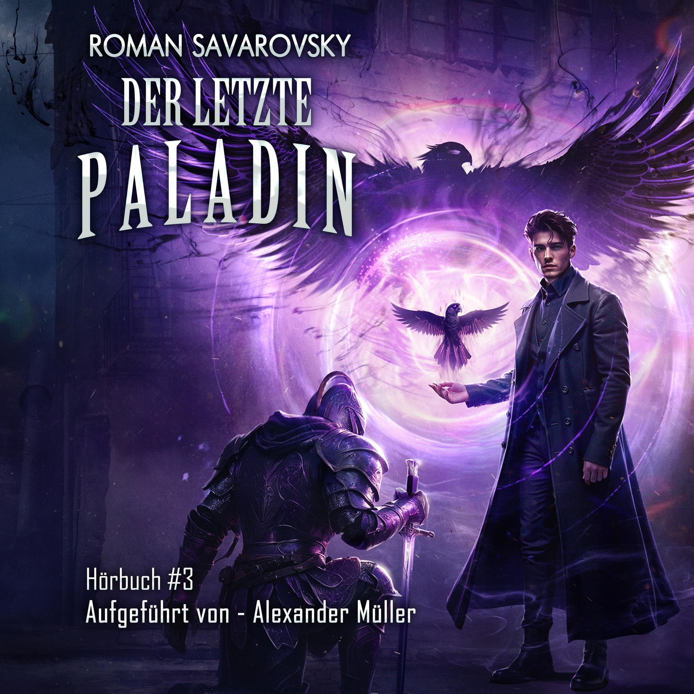 Cover art for Der letzte Paladin (Buch 3)