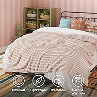 Vista 29 de Bedsure GentleSoft Twin Blanket for Couch - Cozy Soft Blankets for Women, Cute Small Fleece Throws for Girls, Light Grey, 60x80 Inches