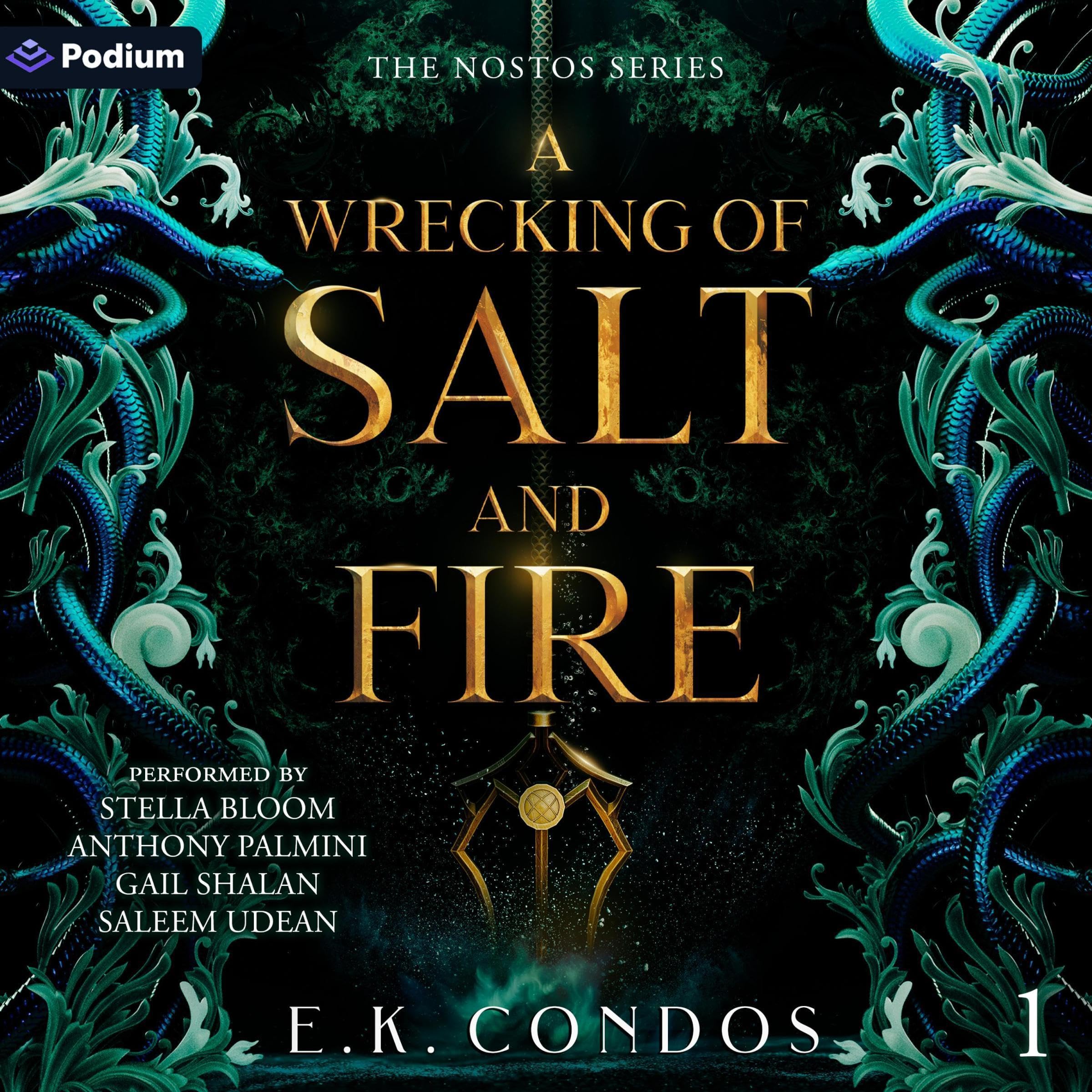Cover art for A Wrecking of Salt and Fire