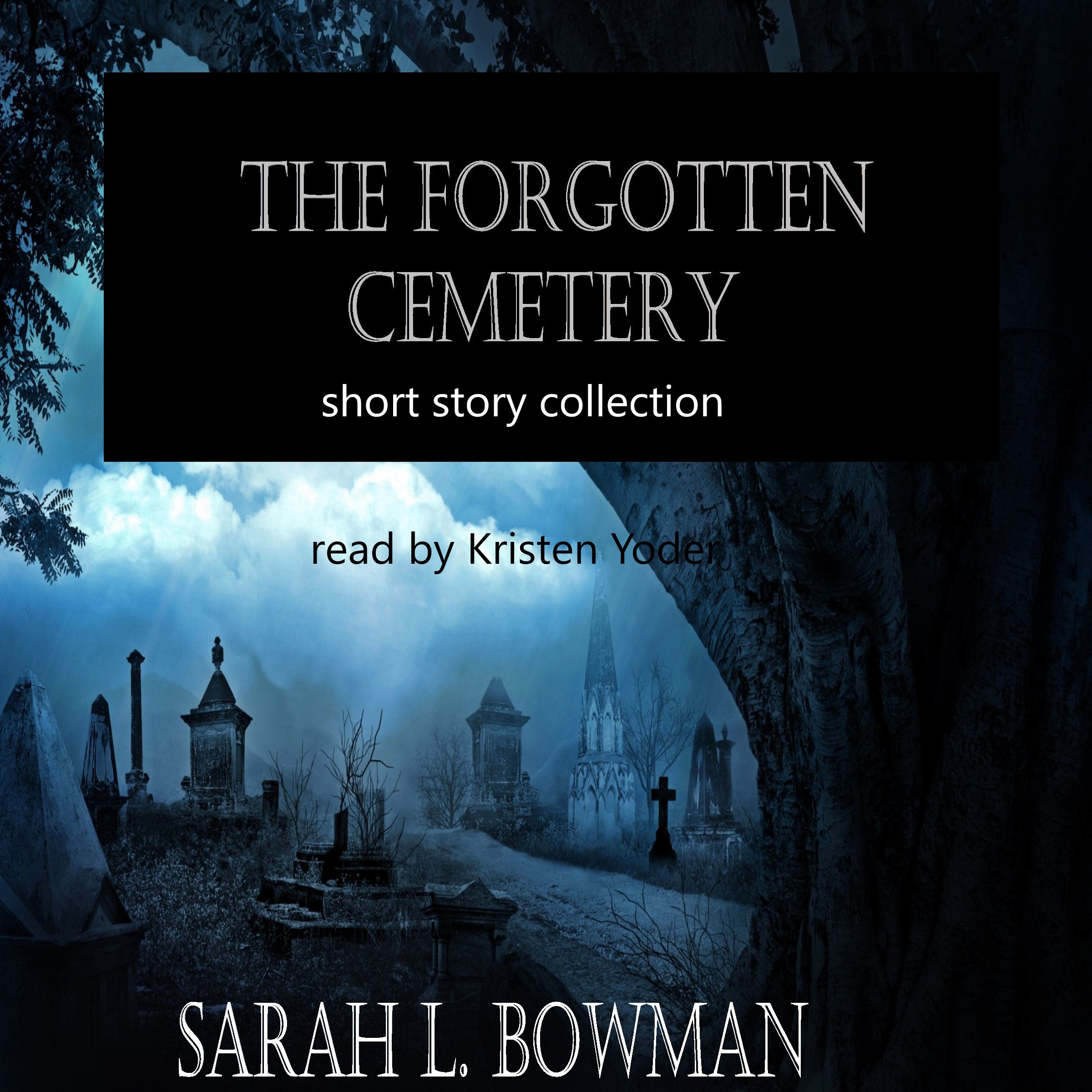 Cover art for The Forgotten Cemetery