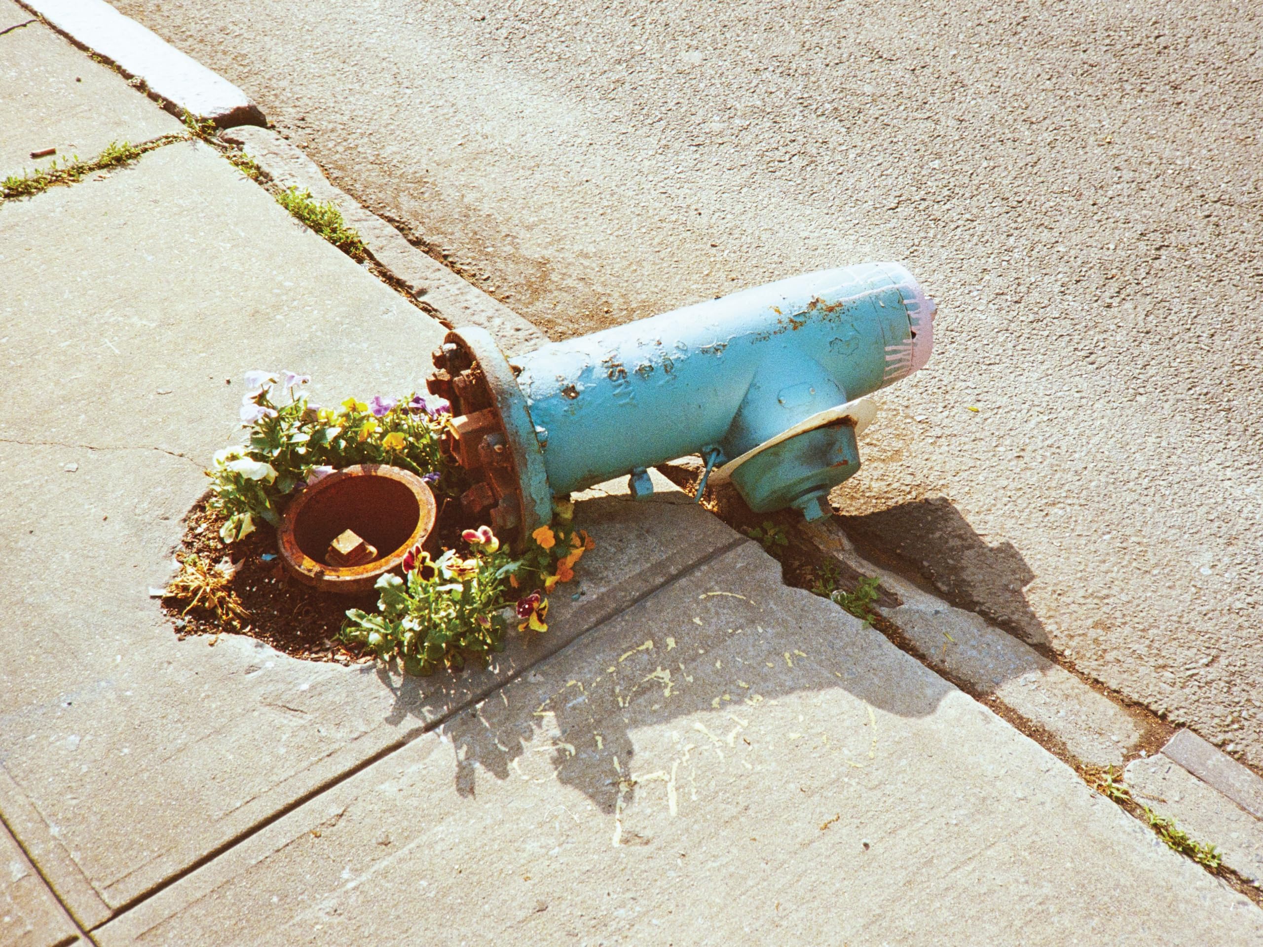 Aaron West & The Roaring Twenties