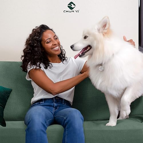 Vista 237 de CHUN YI - Funda elástica para sofá (1 unidad)