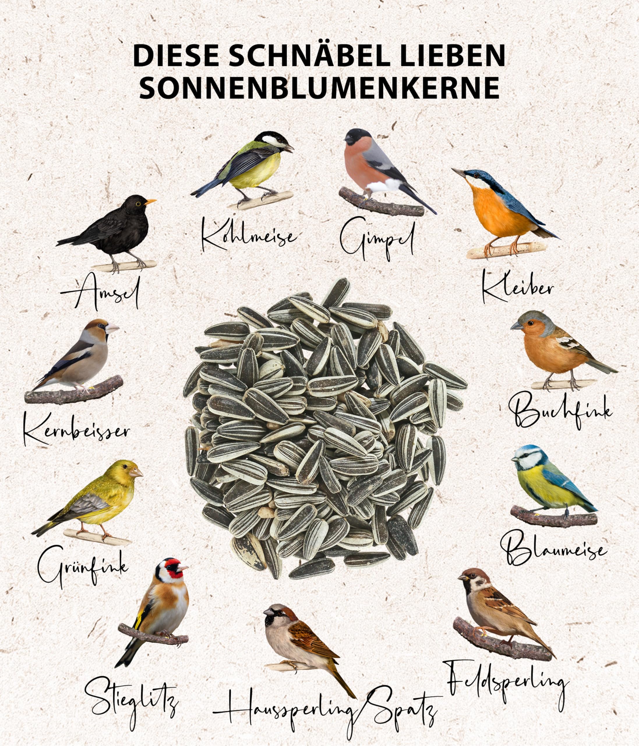 Pesticiden gevonden in strooivoer voor (tuin)vogels