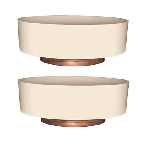 The HC Companies 8 Inch Round Plastic Succulent Capri Bowl Decorative Indoor Flower Succulent Planter Pot with Drain Plug Hole, Vanilla Bisque (2 Pack)