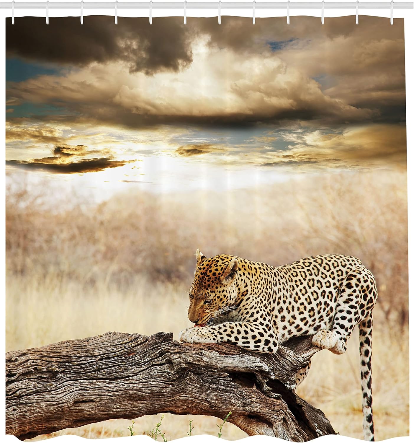 Ambesonne Savannah Shower Curtain, Leopard Resting Dramatic Cloudy Sky Wild Cats Nature Picture Sunset Landscape, Cloth Fabric Bathroom Decor Set with Hooks, 69" W x 75" L, Beige and Brown
