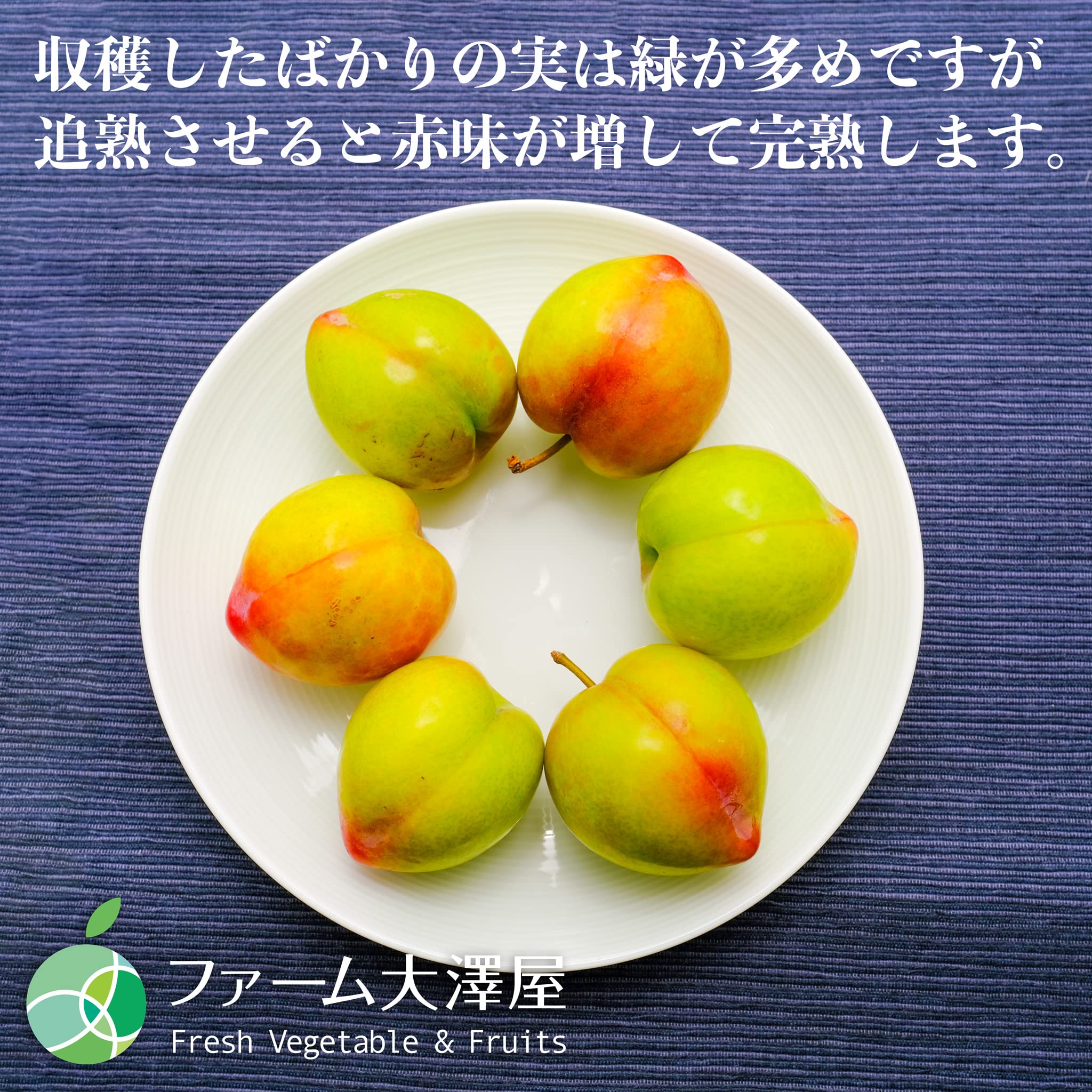 Amazon.co.jp: 大石早生 すもも プラム 約500g 長野県産 : 食品・飲料