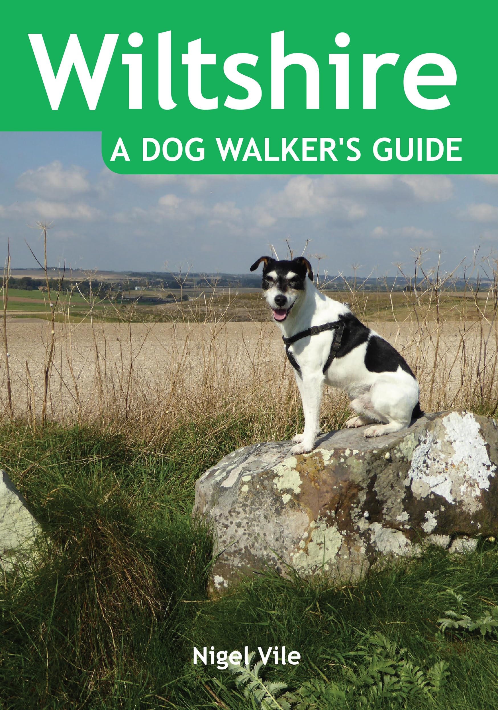 Wiltshire a Dog Walker's Guide by Nigel Vile PAPERBACK 9781846743382