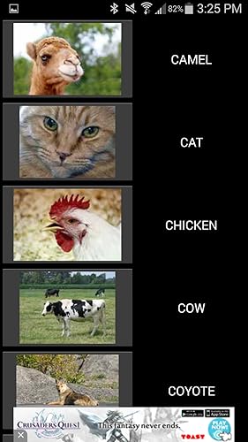 50 Animal Sounds