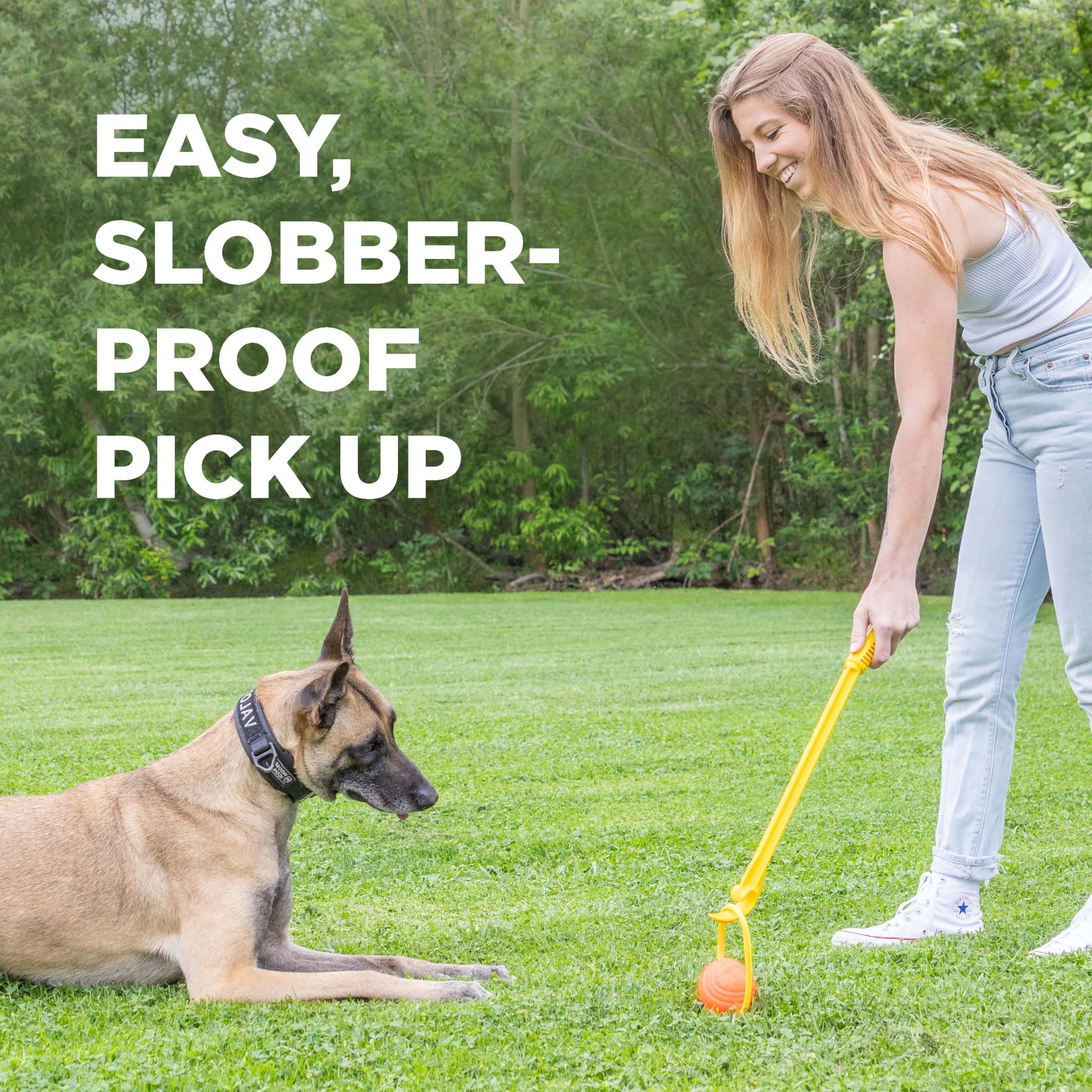 Project Hive - Pelota para perros | Pelota grande para perros | Juguetes interactivos para perros compatibles con lanzador de bolas de perro Hive Zoomer para perros grandes | Pelotas para perros