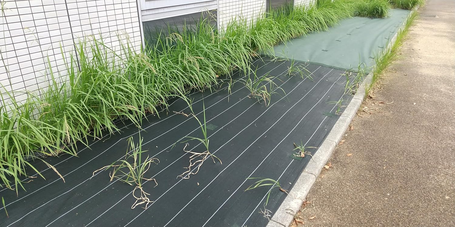 Weed Blocker Ultra-High-Density Polyester Non-Woven Fabric | Durable Smooth Flexible Tear & UV Resistance Weed Control Barrier for Flower Bed Mulch Pavers Garden Stakes (FT-200G) (1x10)