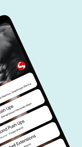 Triceps Workout: Arm Workout, Biceps Workout at Home