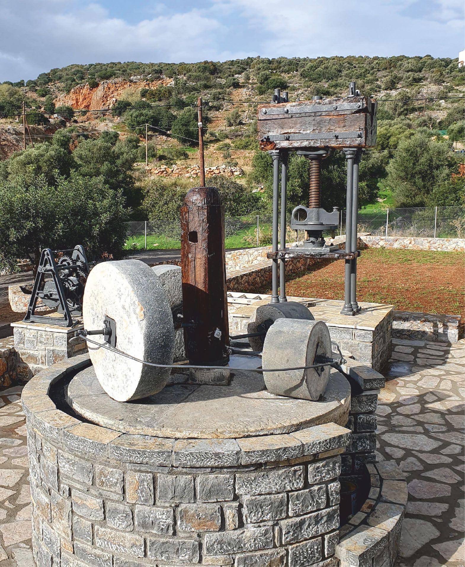 PHYSIS OF CRETE Oliwa z oliwek Extra Virgin 5 l Cretan Mountains, niska zawartość kwasu 0,35% tłoczona na zimno, grecki olej, wielokrotnie wyróżniany