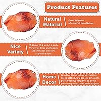 Vista 107 de ZAICUS Rocas en bruto de amatista para pulir, piedras crudas y cristales para hacer joyas, pulido, cabbing, lapidario, rocas fuentes, decoración