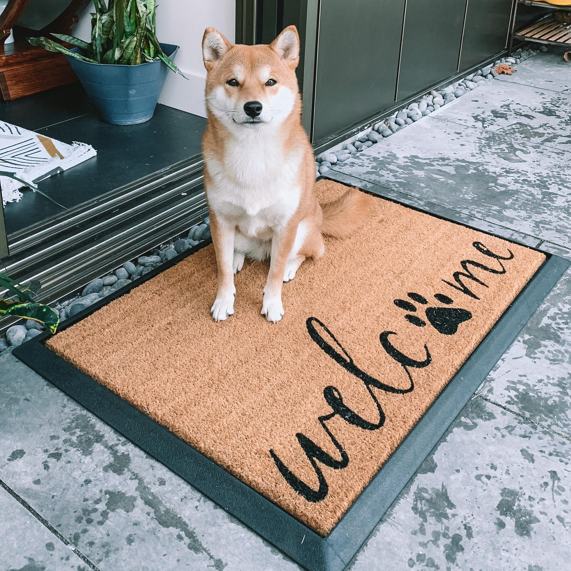 4 Cats & Dogs Rectangle Core Refill 24