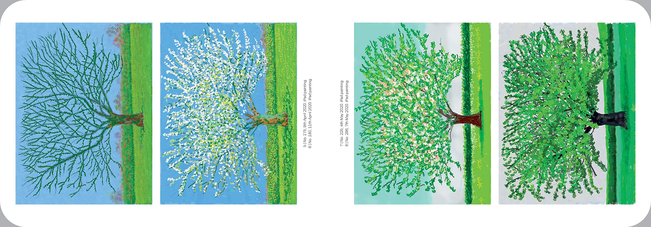 David Hockney : The Arrival of Spring, Normandy, 2020
