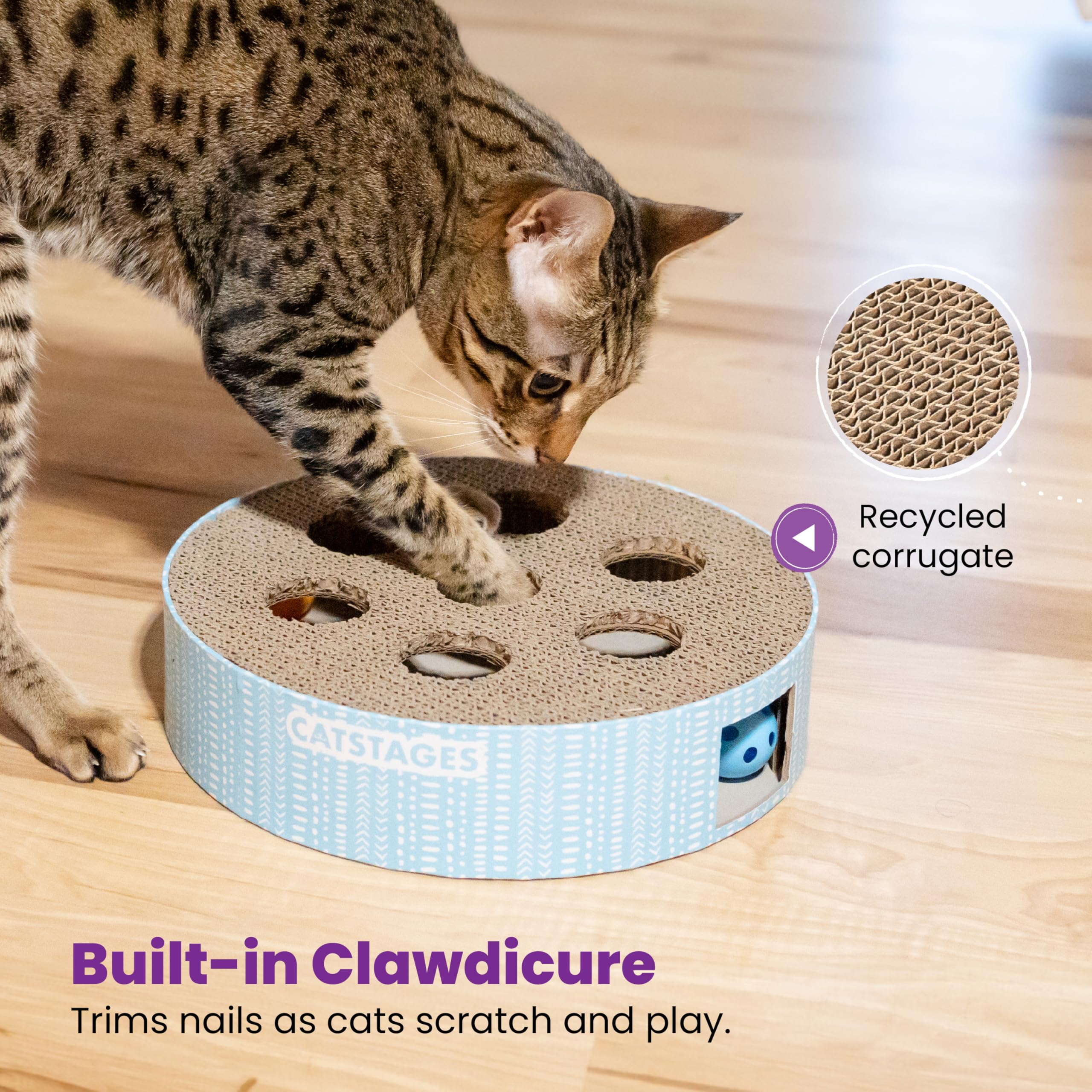 Amazon.com: Catstages Scratch N' Hunt Interactive Cat Puzzle Toy