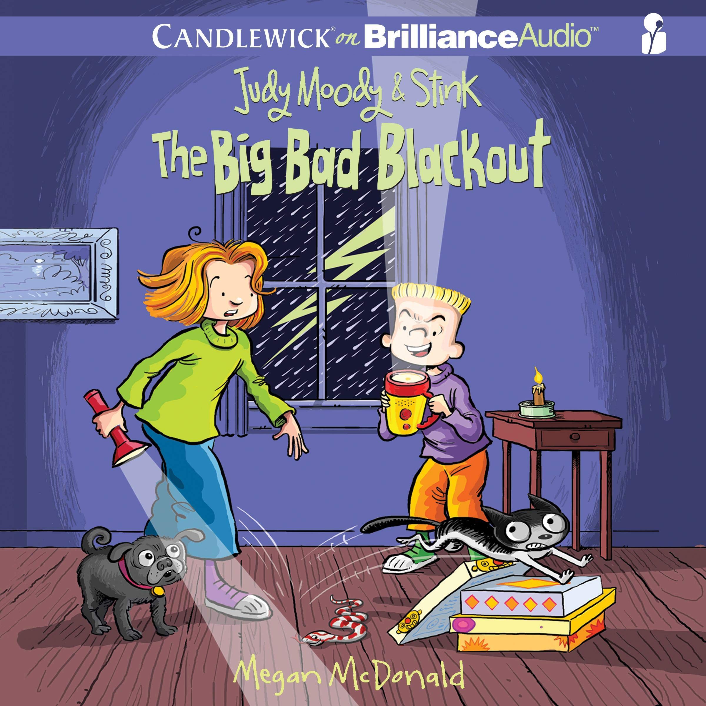 Cover art for Judy Moody & Stink: The Big Bad Blackout
