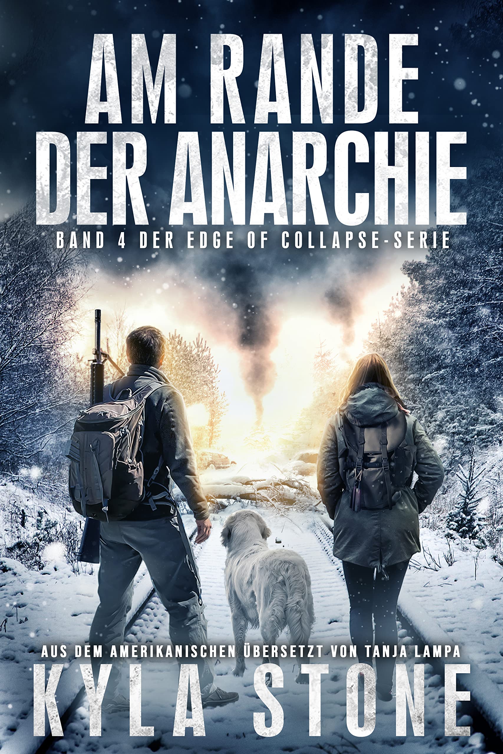 Am Rande Der Anarchie : Band 4 Der EDGE OF COLLAPSE-Serie