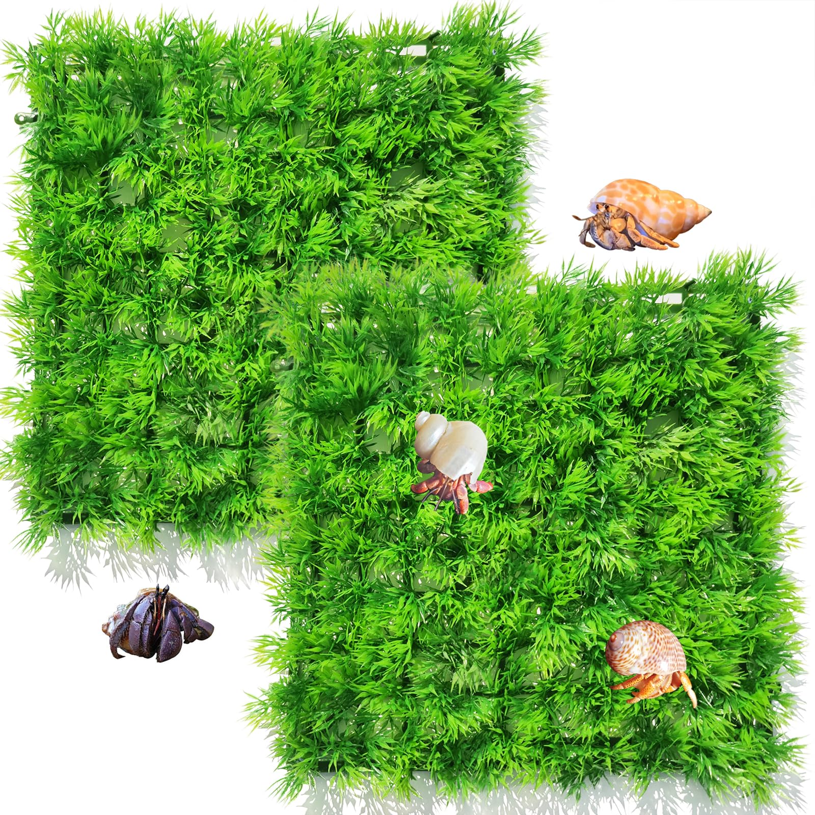 Amazon.com : Anranmm 2 PCS Hermit Crab Climbing Toys Faux Grass