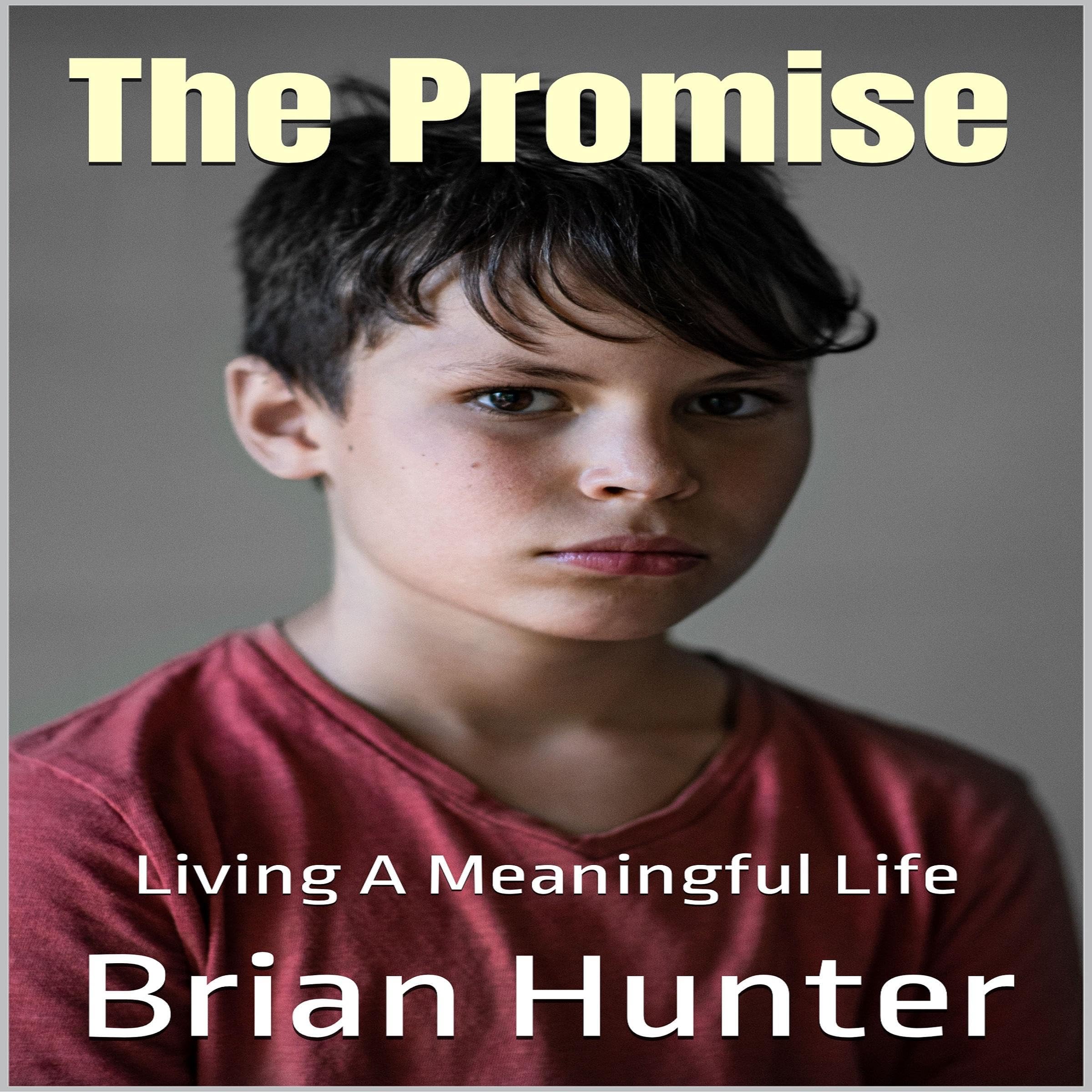 Cover art for The Promise