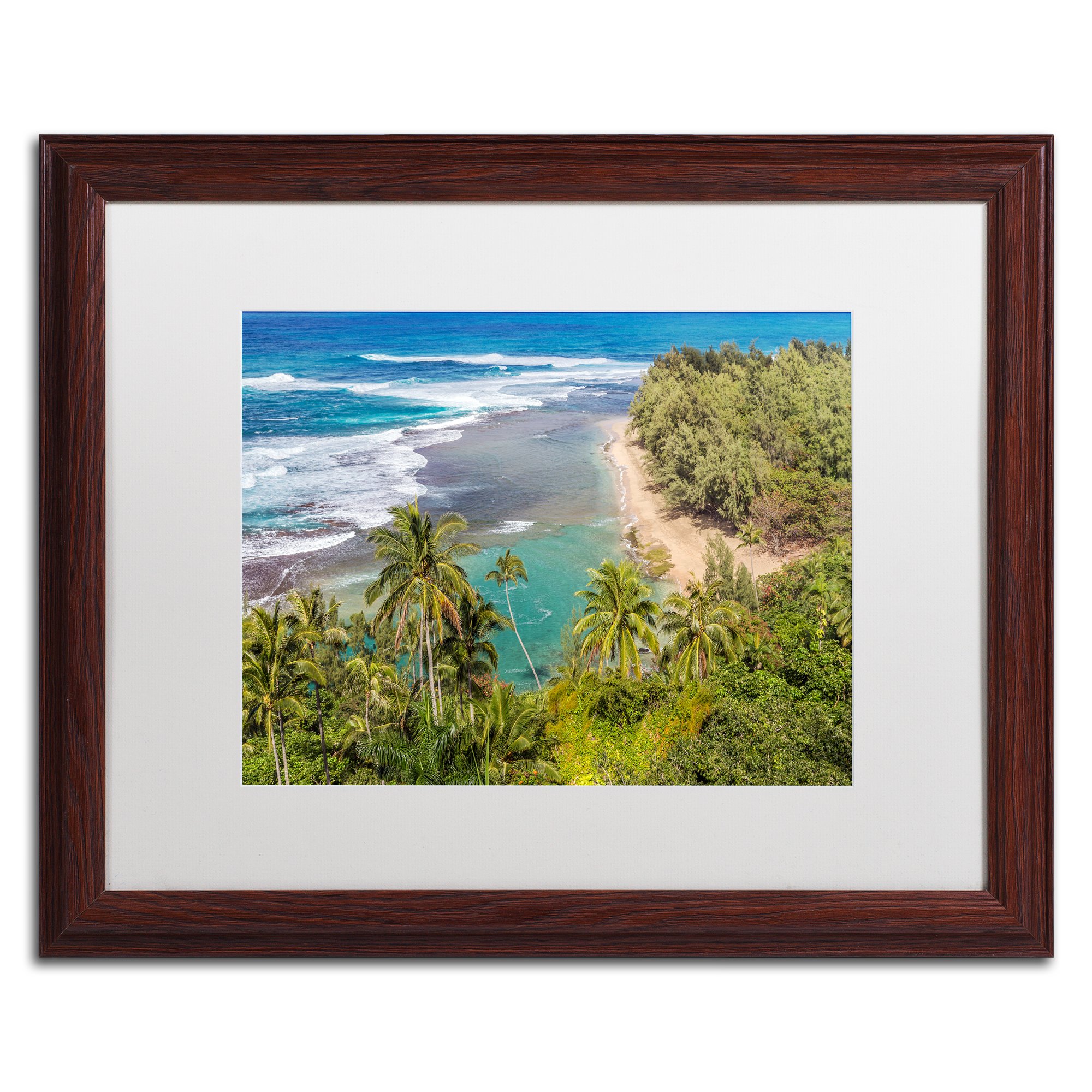 Tropical Paradise by Pierre Leclerc, White Matte, Wood Frame, 16x20"