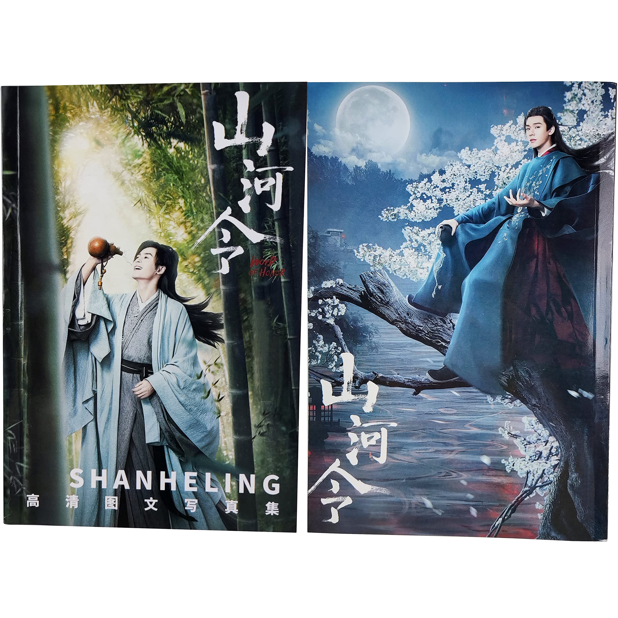 絶版　山河令　画集 山河令 人気絵師さん 画集の通販 by 夏｜ラクマ