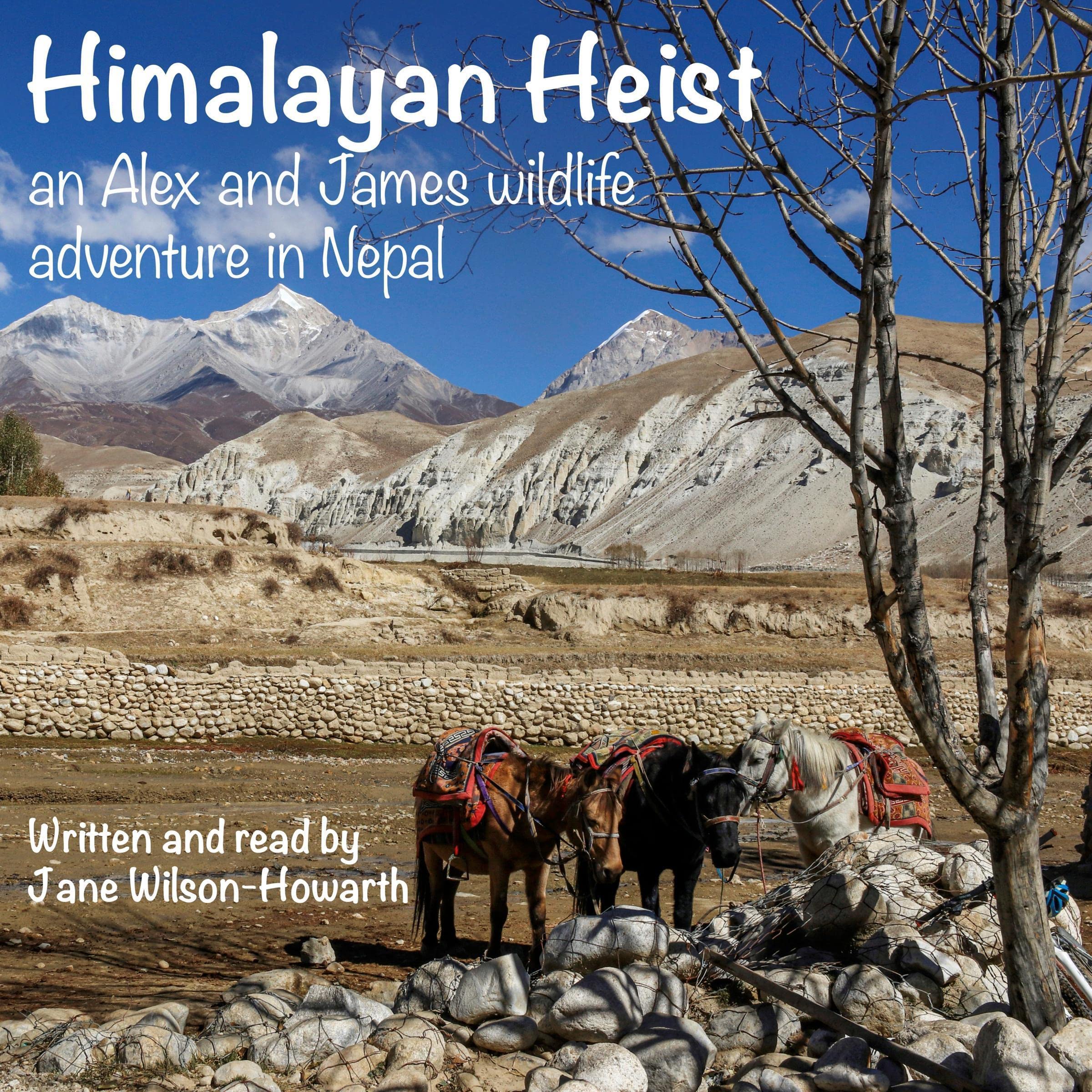 Cover art for Himalayan Heist