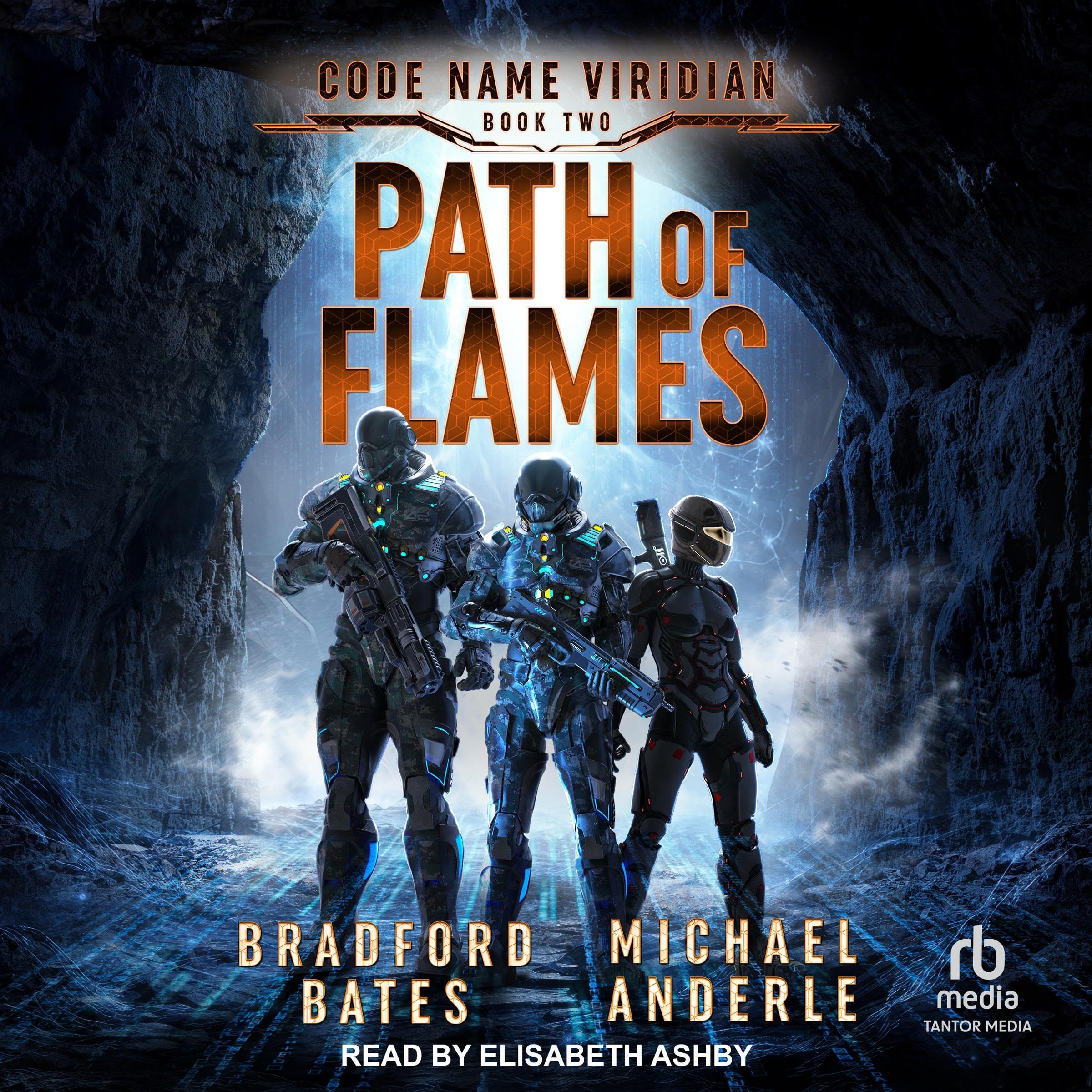 Cover art for Path of Flames