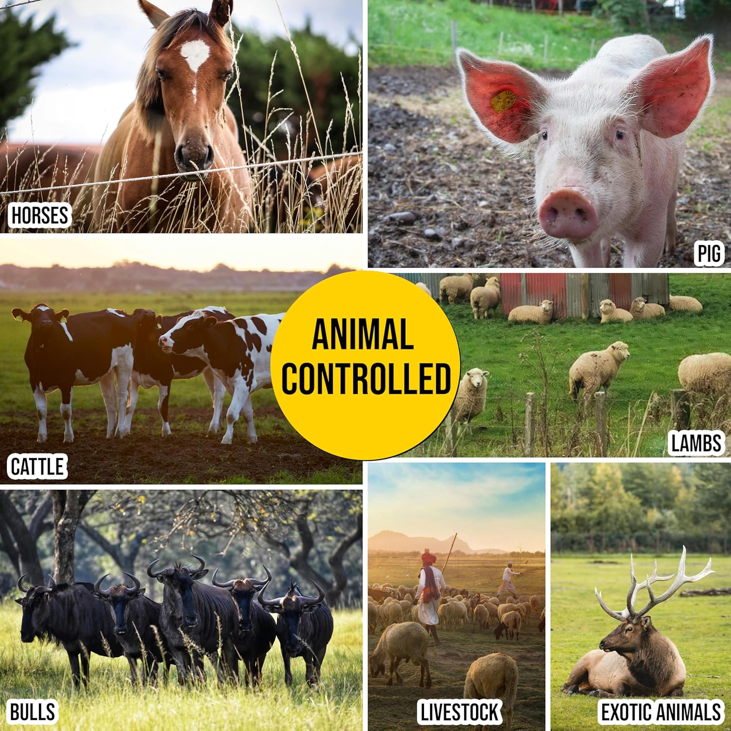 Electric Fence Wire 1000 ft, 1/4 inch (6 mm), Thick & Highly Conductive Tinned Copper Strands, Ideal for Temporary Pastures and Equine Containment Livestock, Work with Insulator & Charger