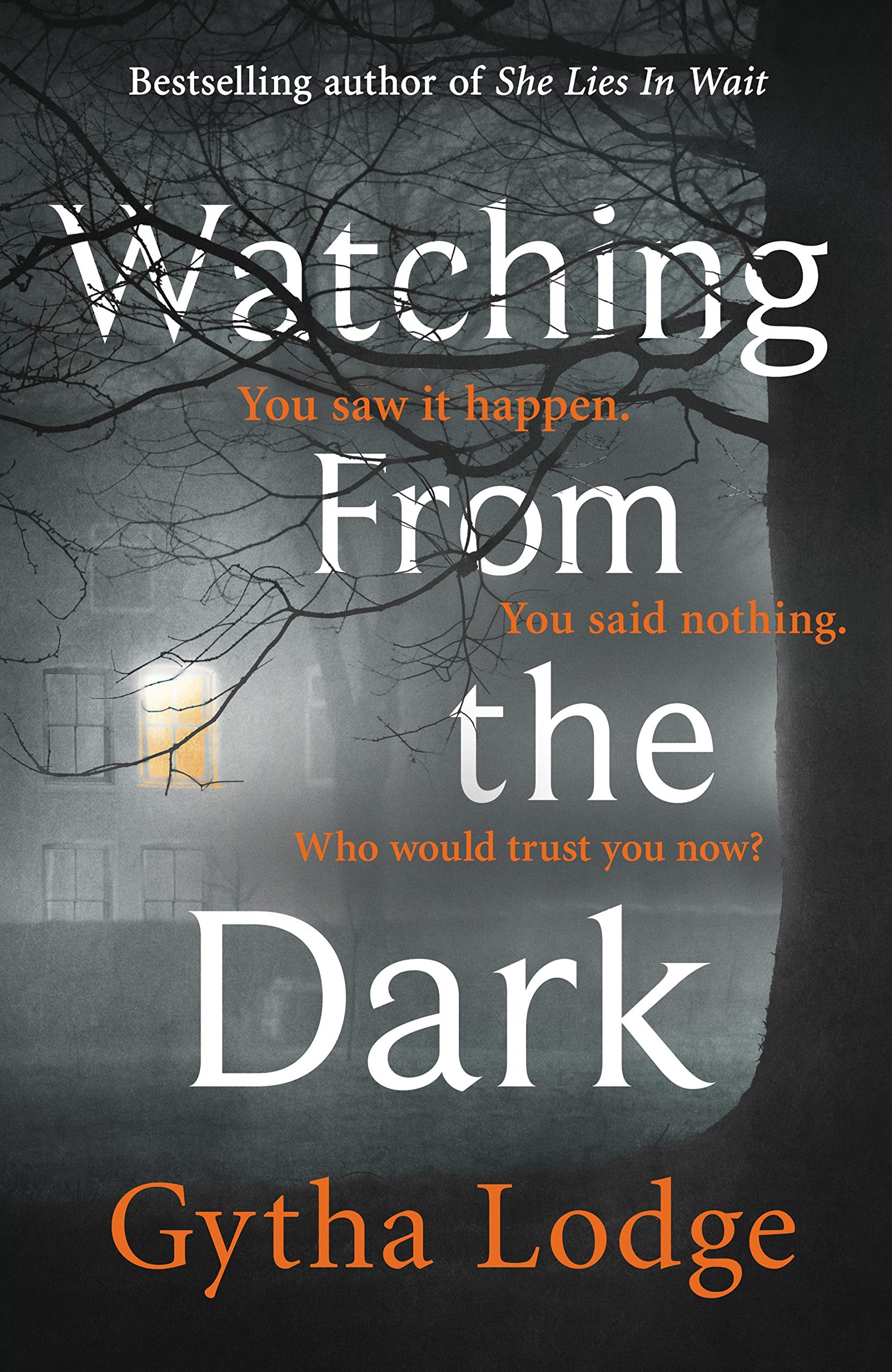 Watching from the Dark: The gripping new crime thriller from the Richard and Judy bestselling author