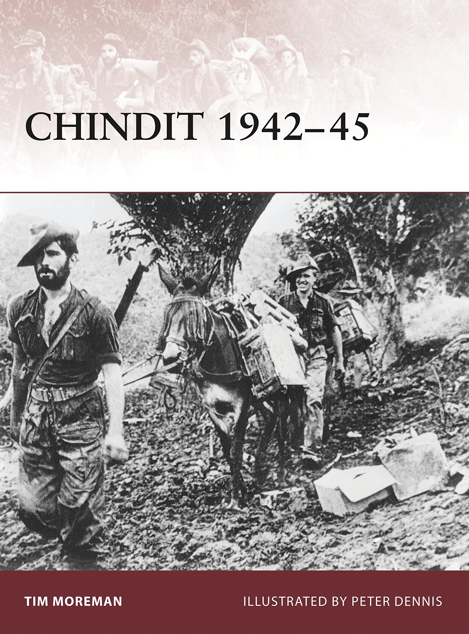 Chindit 1942-45: No. 136 (Warrior)