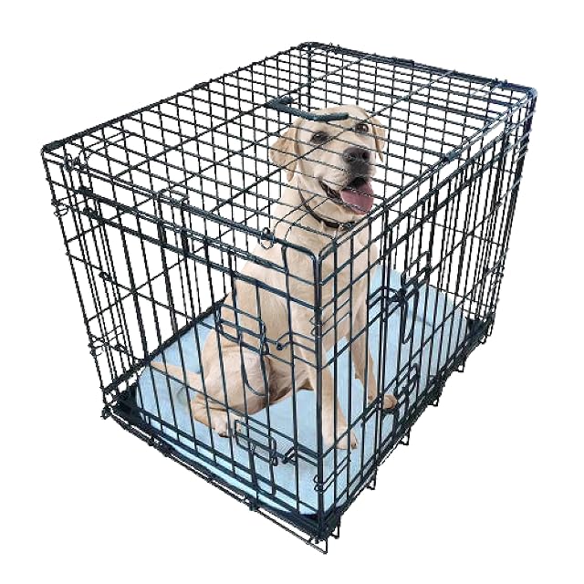 Ellie-Bo - Jaula corral plegable para perros pequeños a grandes, cojín incluido, dos puertas, resistente…