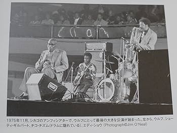 ハウリン・ウルフ ブルースを生きた狼の一生 (P-Vine Books