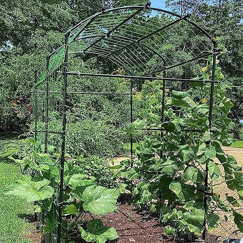 Miniatura 3 de DoCred - Enrejado alto de arco de jardín para plantas trepadoras al aire libre, enrejado de soporte de metal con red de escalada para vid,