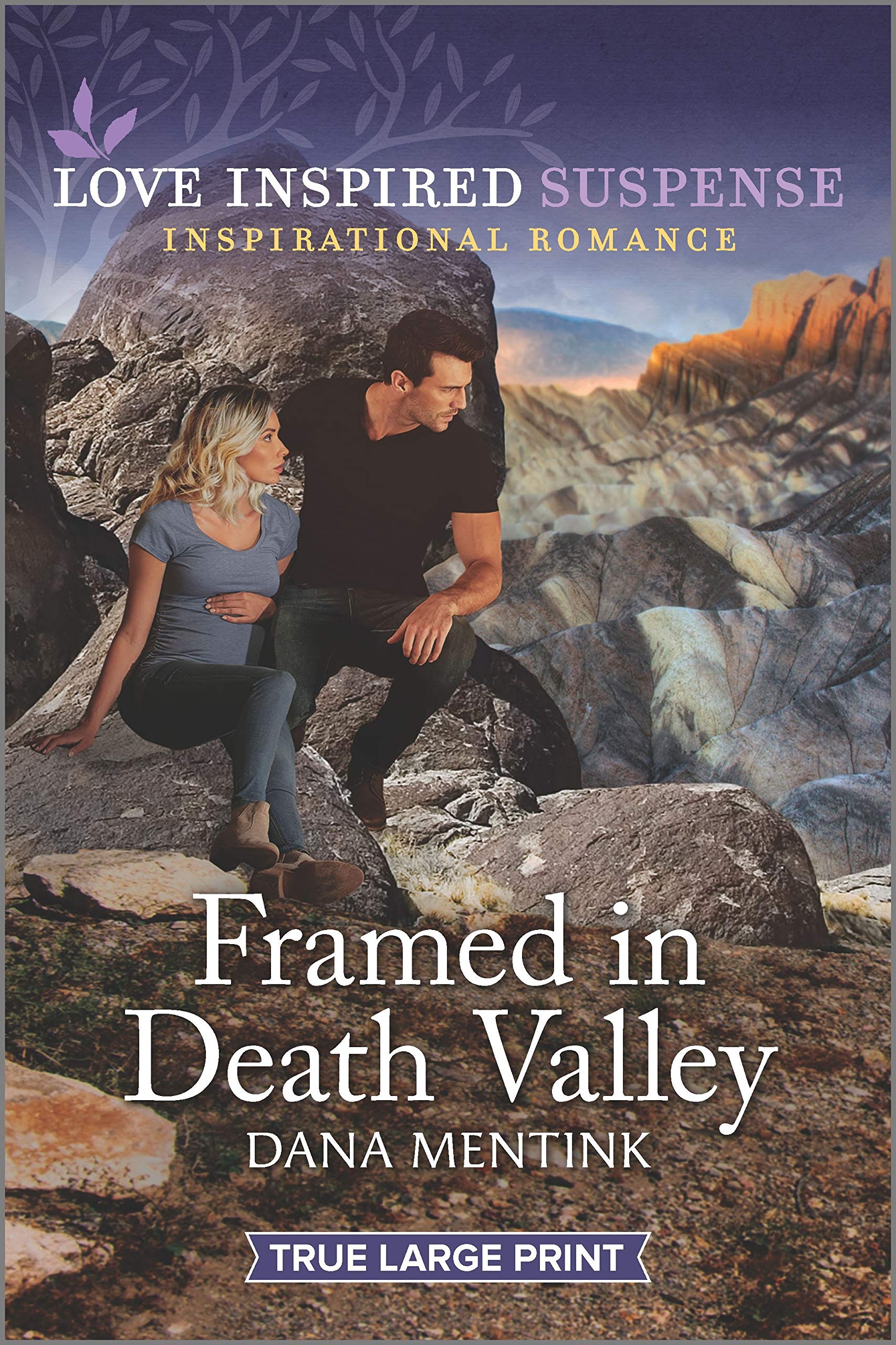 Framed in Death Valley