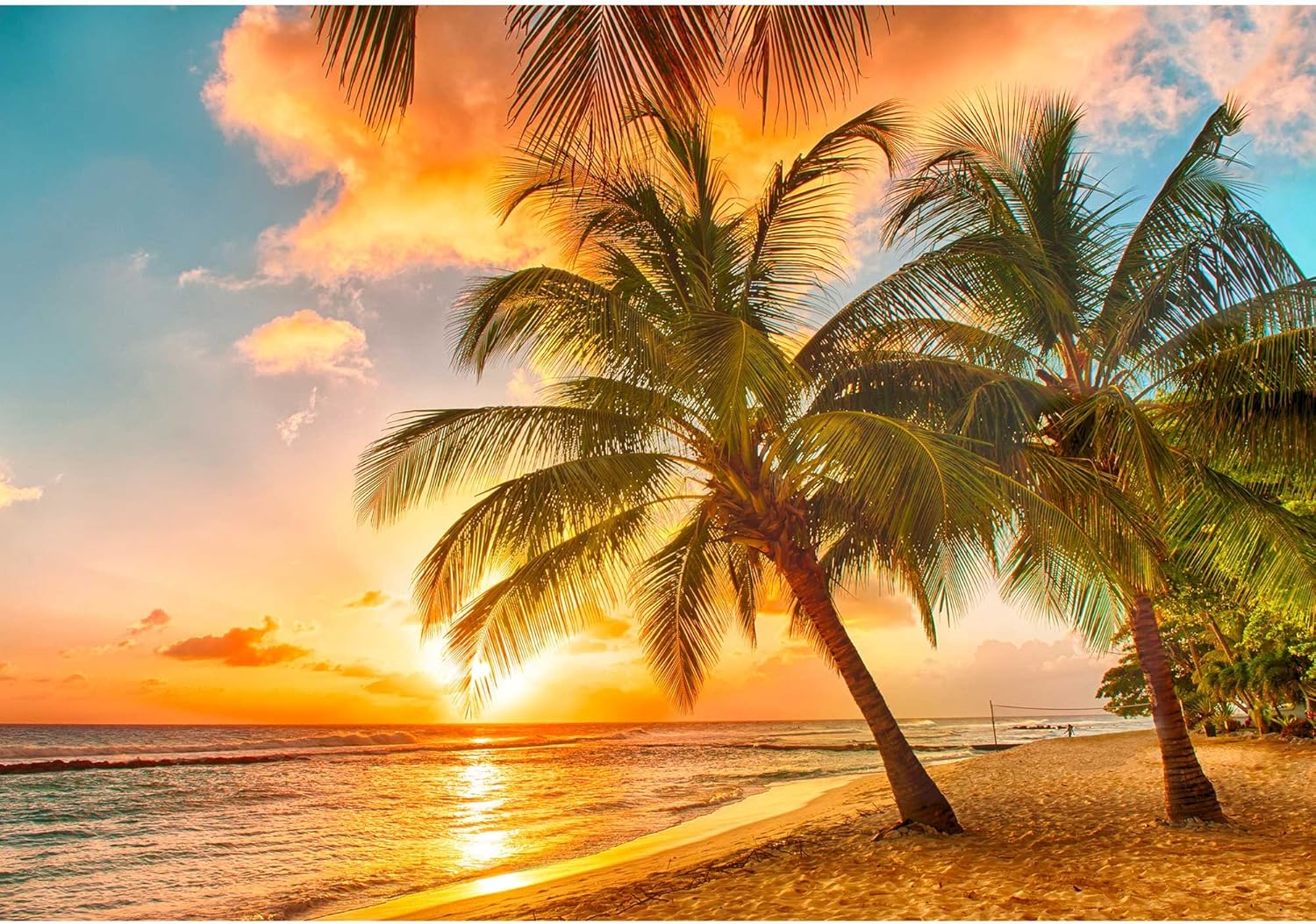 Flash Sale wall26 - Beautiful Sunset Over The Sea with a View at Palms on The White Beach on a Caribbean Island of Barbados - Removable Wall Mural | Self-Adhesive Large Wallpaper - 100x144 inches