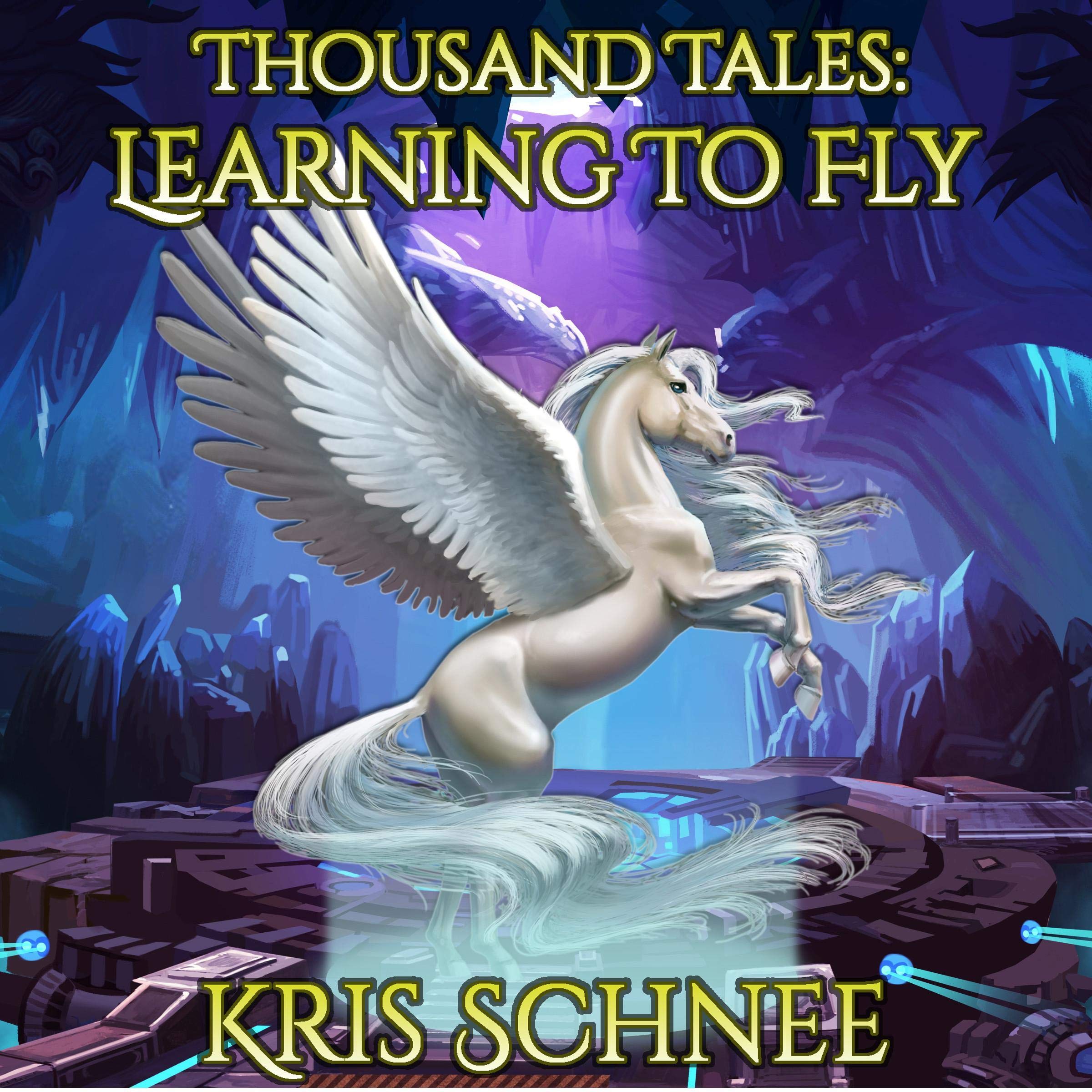 Cover art for Learning to Fly: Thousand Tales, Book 5