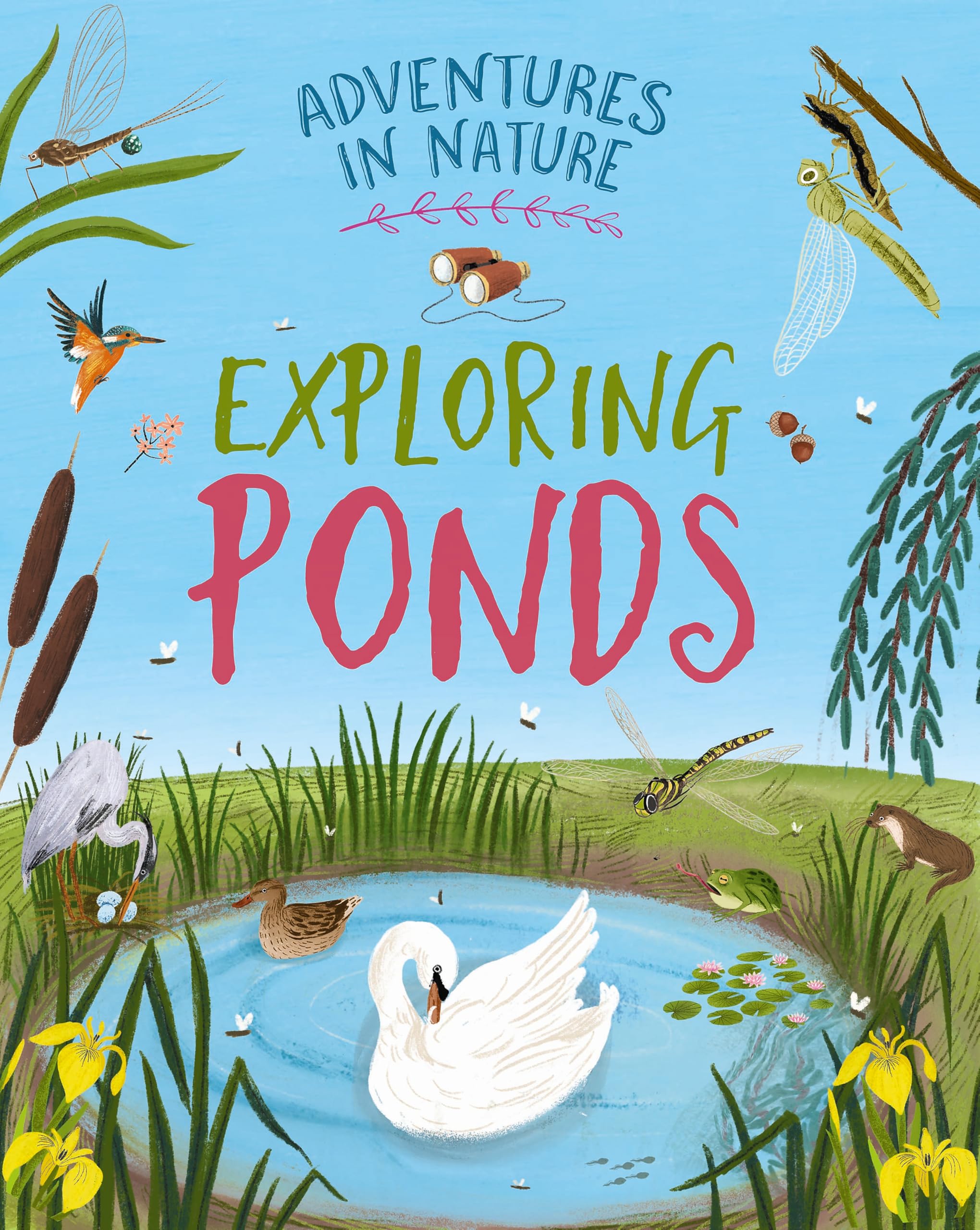 Exploring Ponds (Adventures in Nature)