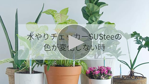 Amazon.co.jp: SUStee 水やりチェッカー Lサイズ グリーン 5本パック