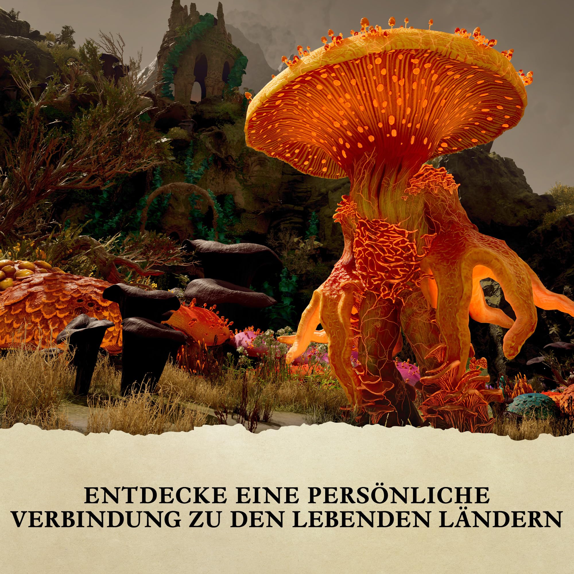 Avowed Premium Edition Steelbook - Download Code in der Box