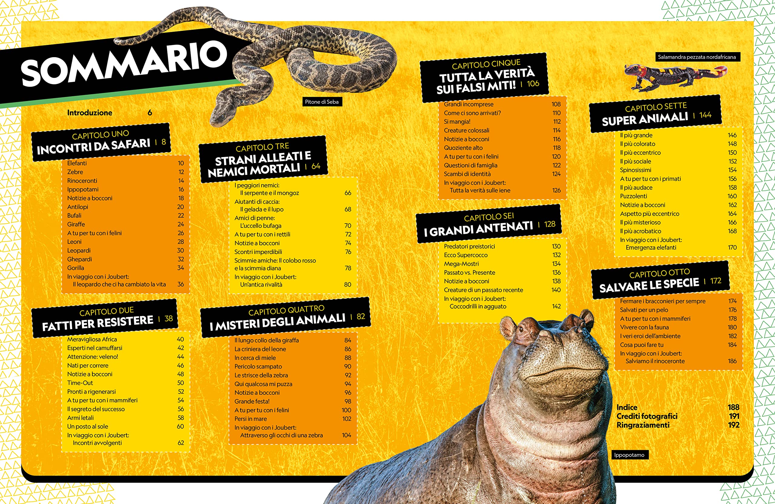 Il grande libro degli animali dell'Africa. Ediz. a colori