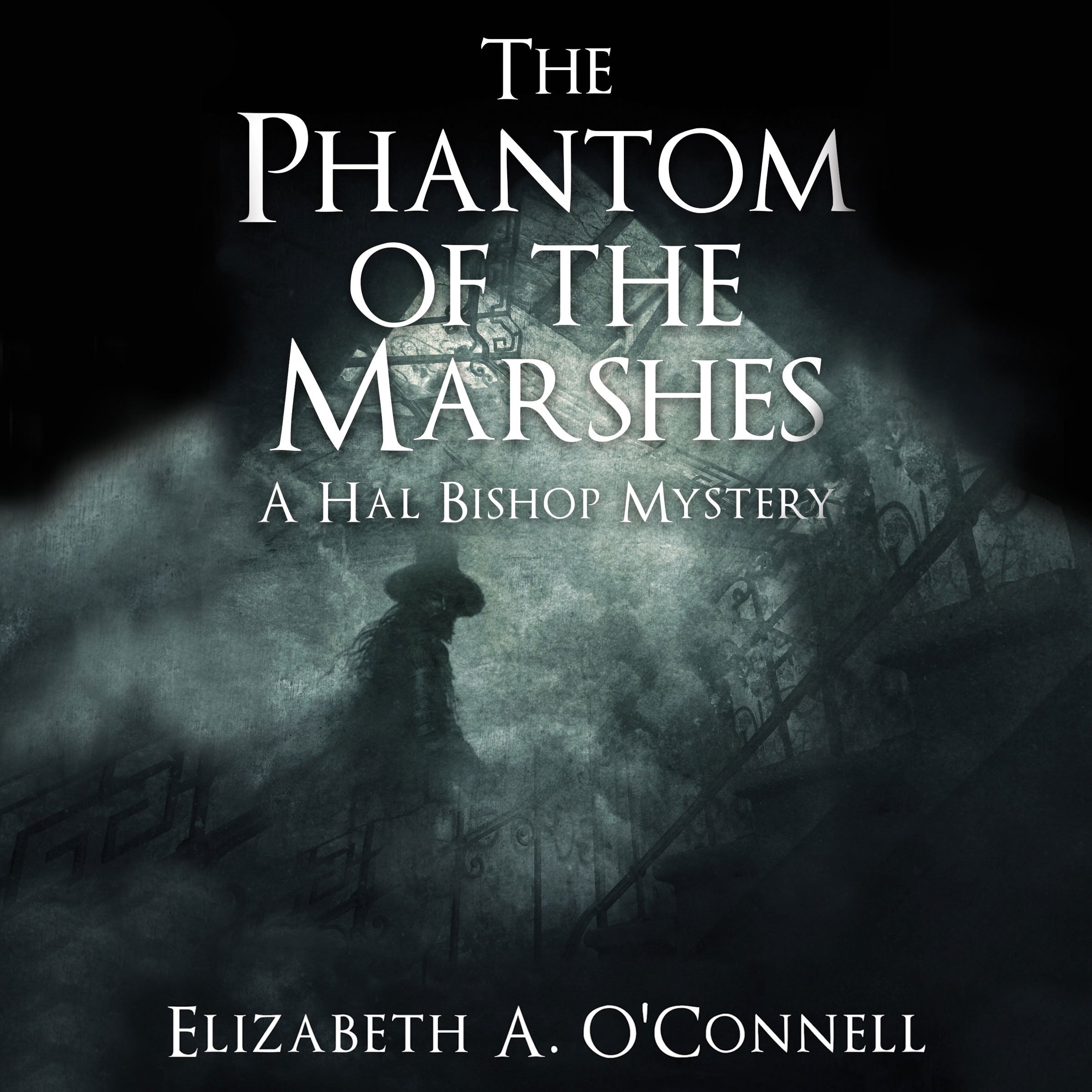 Cover art for The Phantom of the Marshes