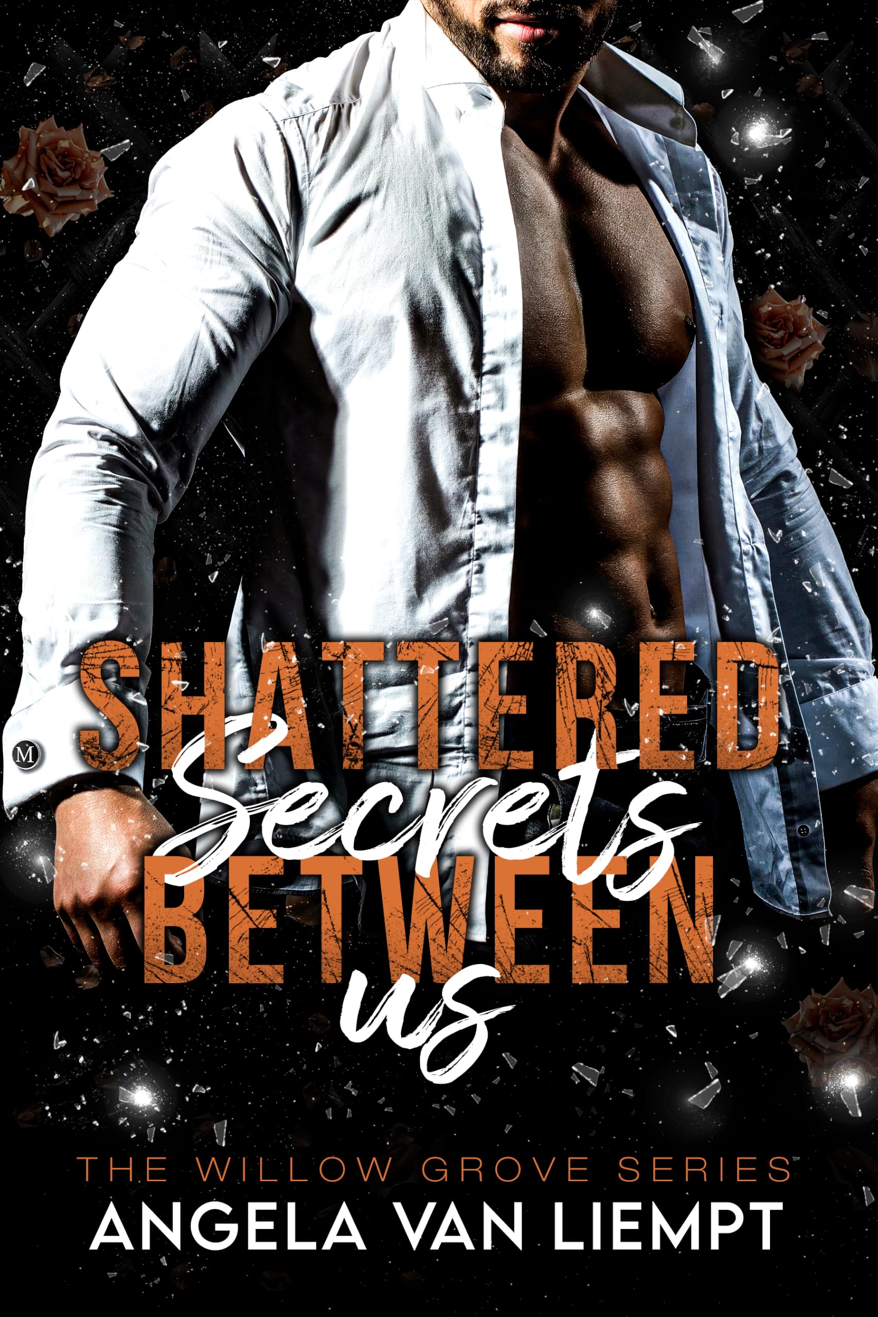 Shattered Secrets Between Us (The Willow Grove Series Book 1)