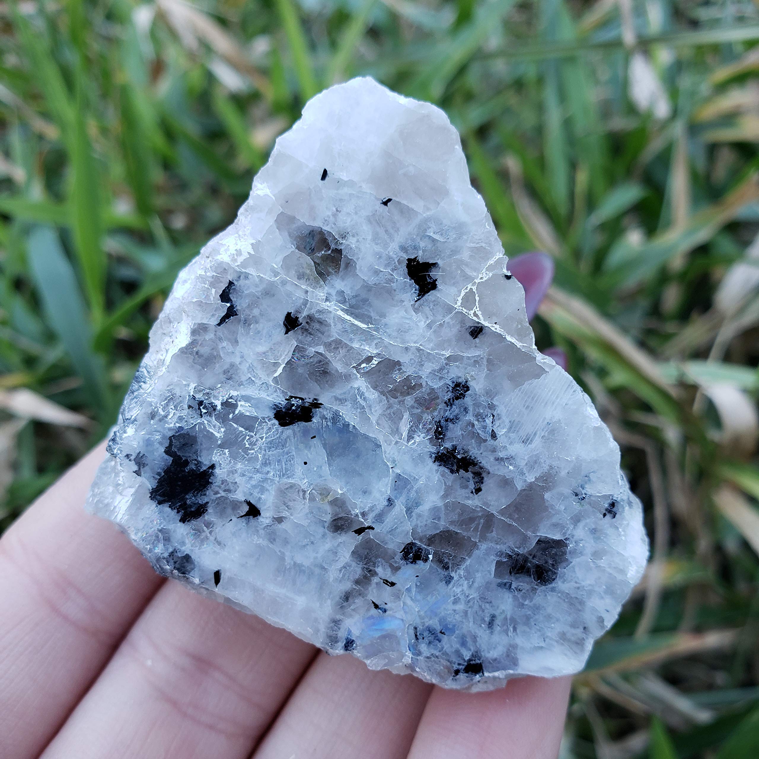 Sublime Gifts - Rainbow Moonstone Crystal Healing Gemstone Natural Rough & Polished one face Stone Specimen