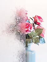 Vista 3 de d-c-fix 346-0166-3PK - Película autoadhesiva de privacidad para ventana, astilla, rollo de 17 x 78 pulgadas, paquete de 3