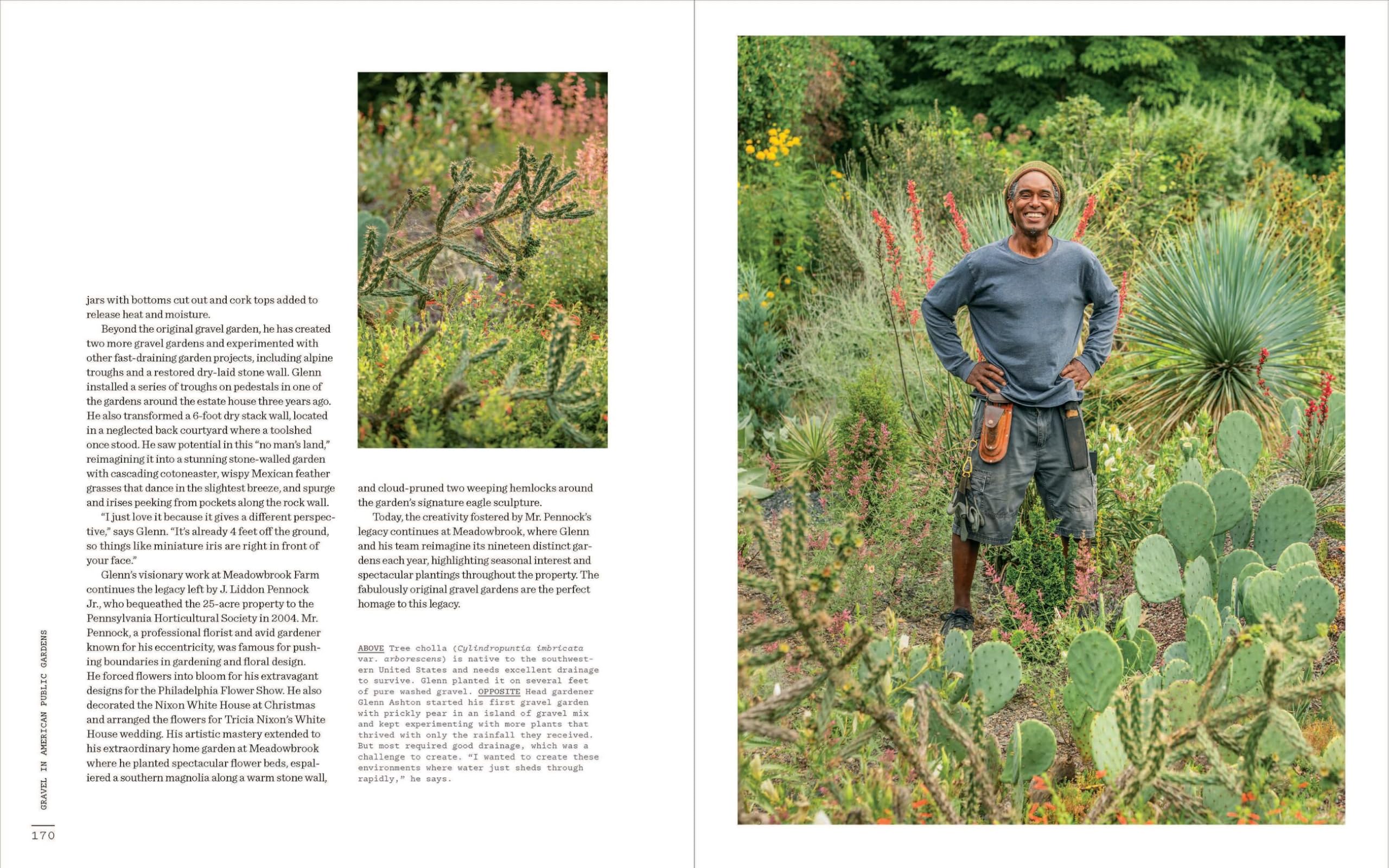 The Gravel Garden: Visionary, Drought-Defying, Naturalistic Designs